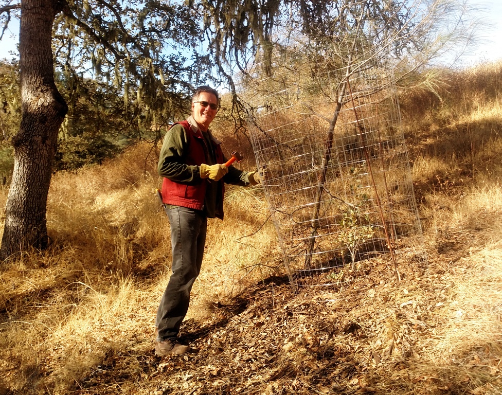 Carl hammering in the rebar to hold the cage in place.